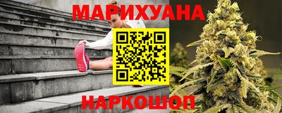 крисы Лесосибирск