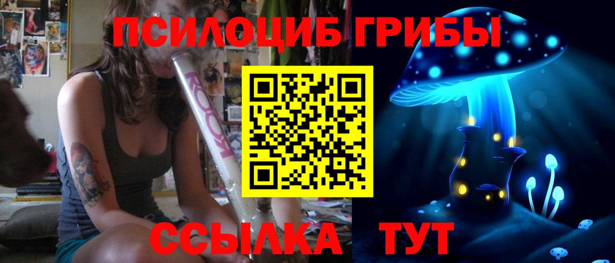 Псилоцибиновые грибы прущие грибы  Вход с VPN  Шатура 